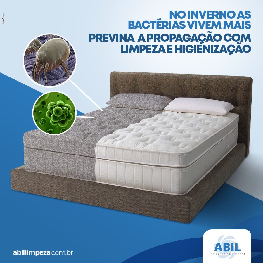 Alex Abil Limpeza portfolio 8
